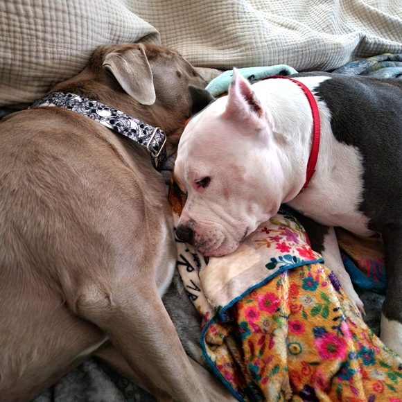 Weezy & Mr Banks - Picture 2 of 2